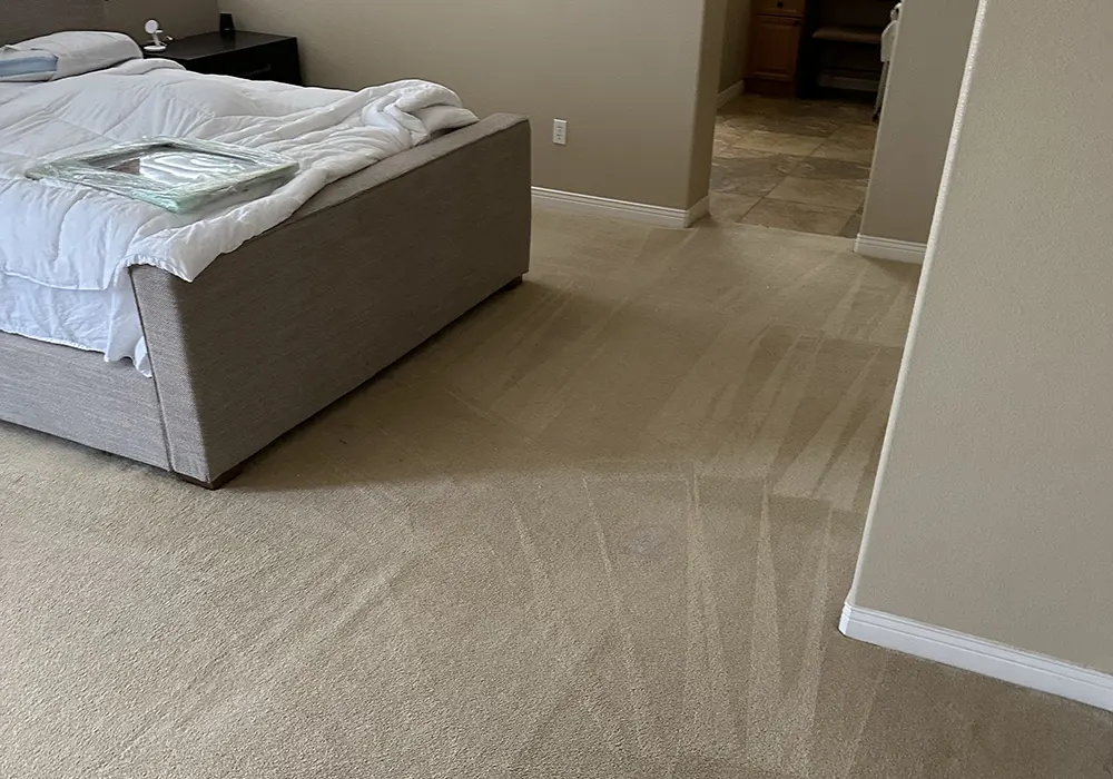 Carpet Cleaning San Diego