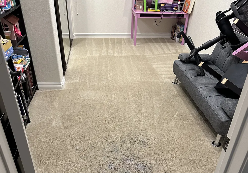 Carpet Cleaning