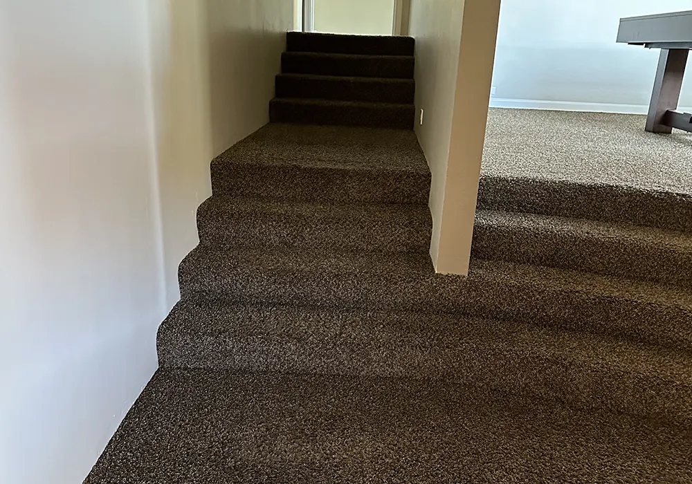 Carpet Cleaning Services