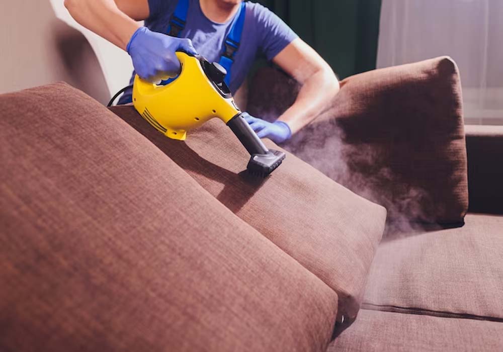 Professional Sofa Cleaning Services San Diego Carpet CAli