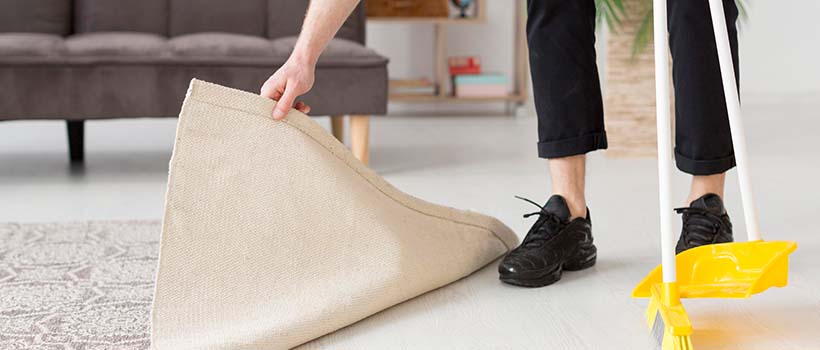 The Transformative Power of Professional Carpet Cleaning in Carlsbad with Carpet Cali